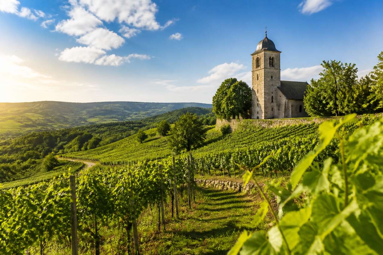 Découverte des vins du Jura : voyage authentique sur la route des vins