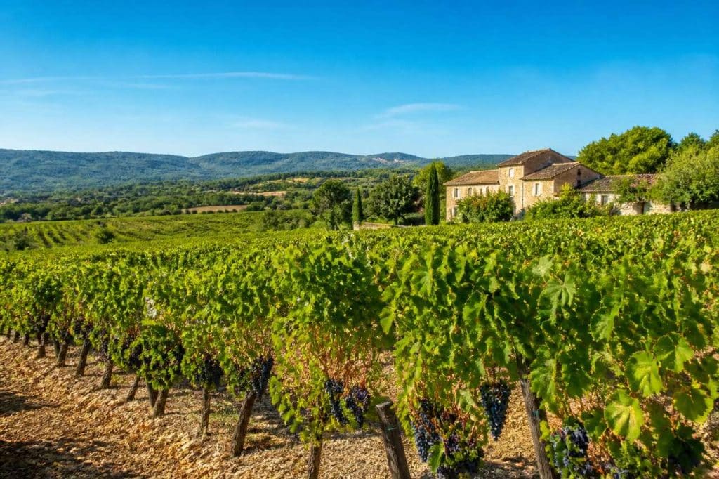 L'image du vin en France : mythe ou réalité ?