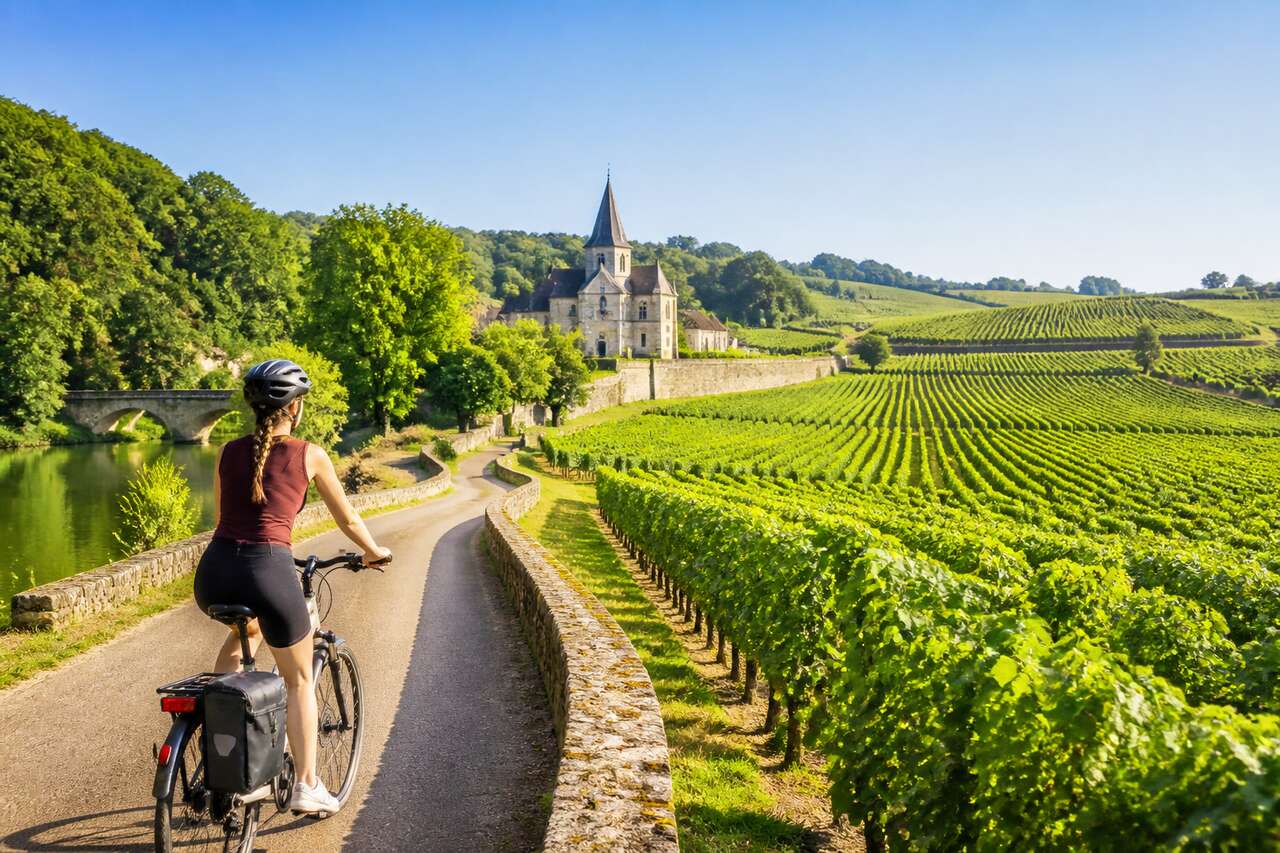 Route des vins à vélo : guide pratique et découverte