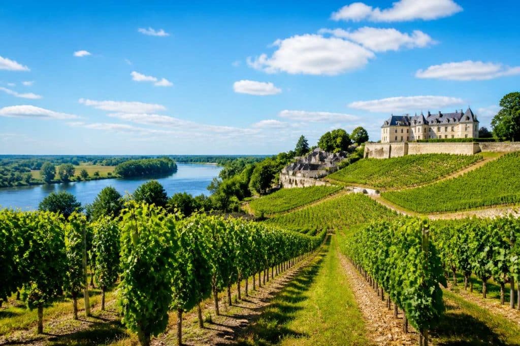 Découverte des vignobles du val de Loire