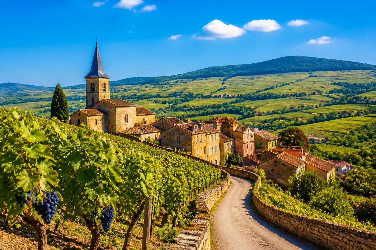 Route des vins du Mâconnais-Beaujolais : découvrez l'œnotourisme en Bourgogne