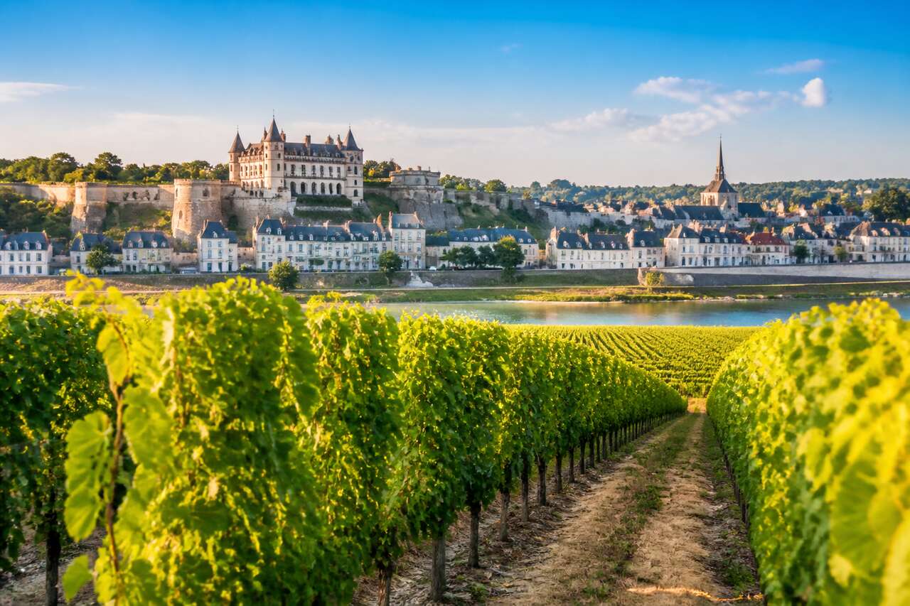 Route des vins du Val de Loire : découverte oenologique