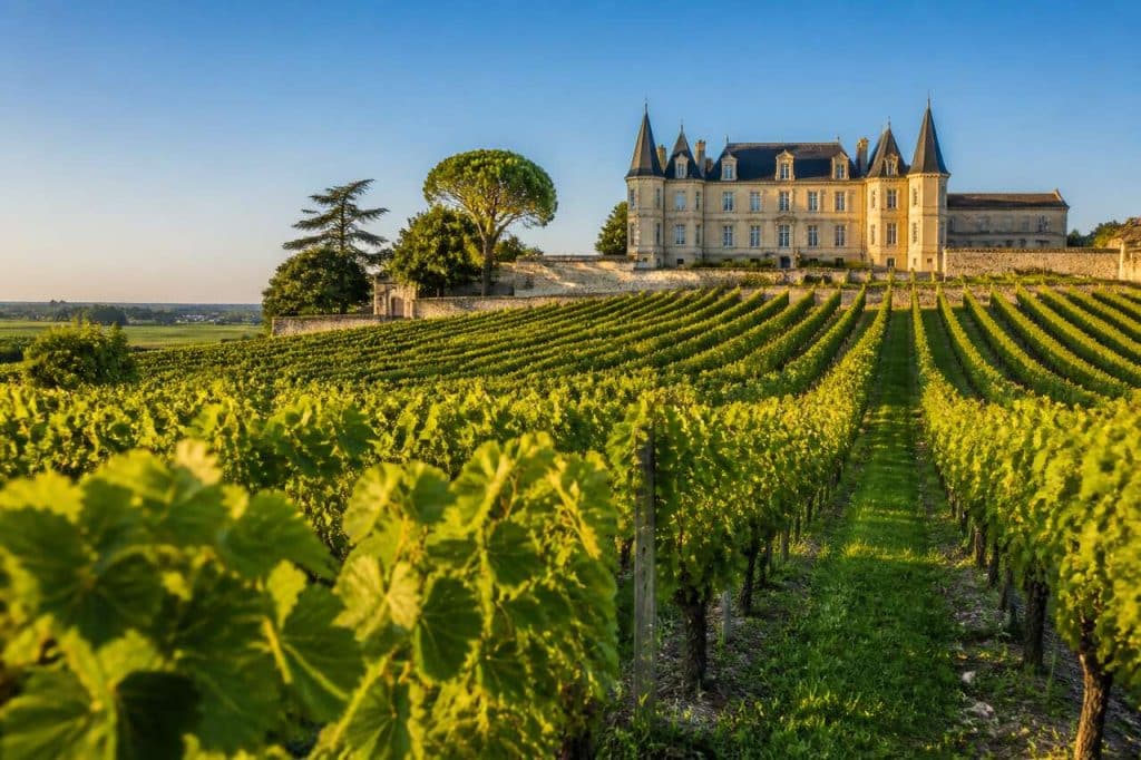 Circuits touristiques dans les vignobles bordelais