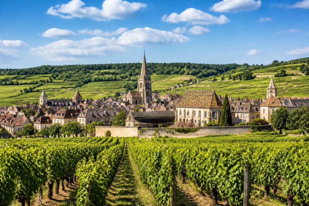 Découverte de Beaune : visite Œnotouristique en Bourgogne